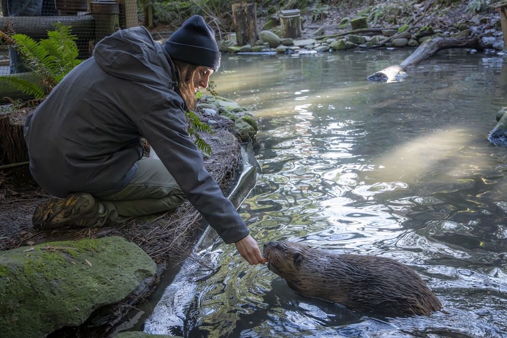 Filbert posing for the camera with a Zoo keeper.