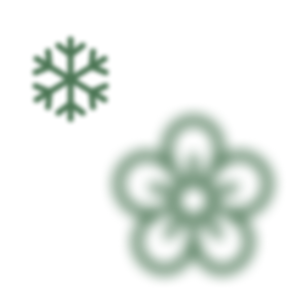 Flower & Snow Graphic