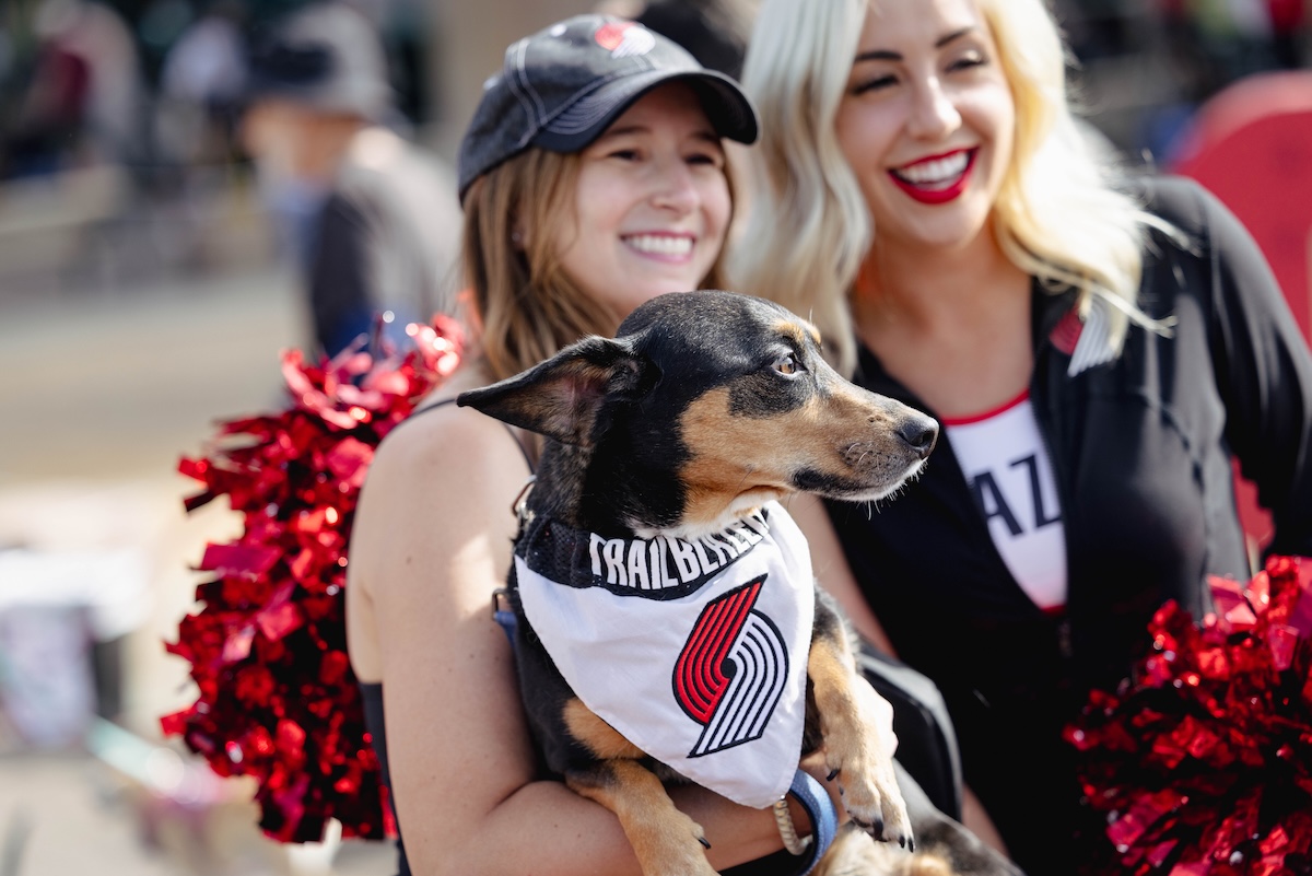 Pup City Visual