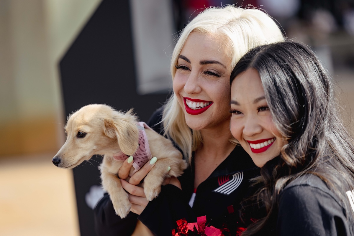 Pup City Visual